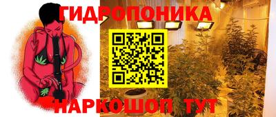 меф Краснознаменск