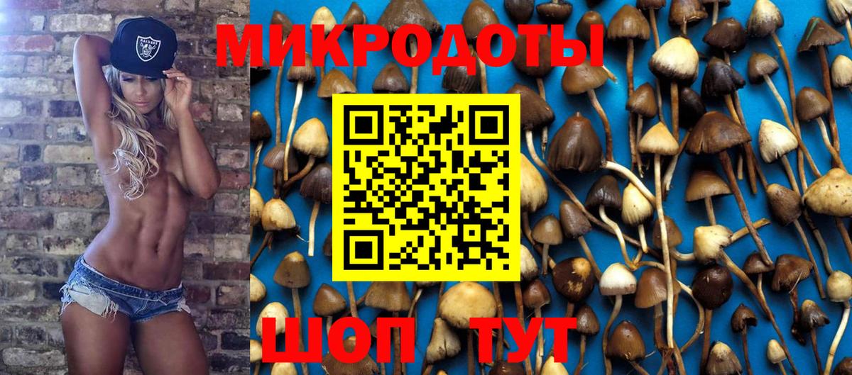 Псилоцибиновые грибы GOLDEN TEACHER  Вход с VPN  Псилоцибиновые грибы Psilocybe  Гай 