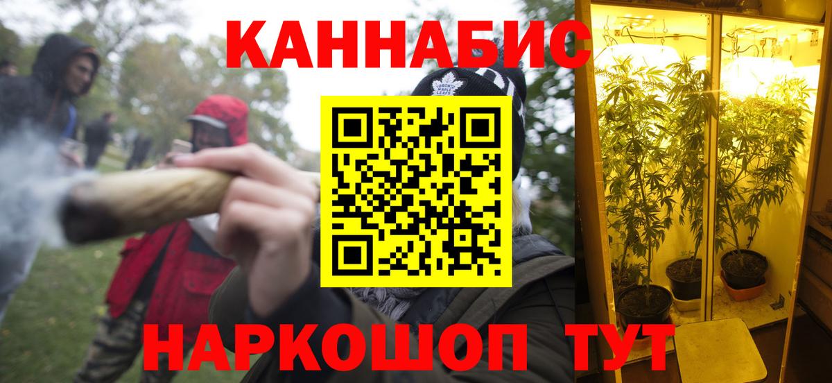 Бошки Шишки тримм Гай